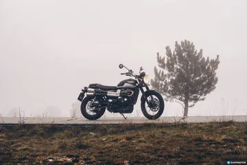 Triump Street Scrambler Prueba 23