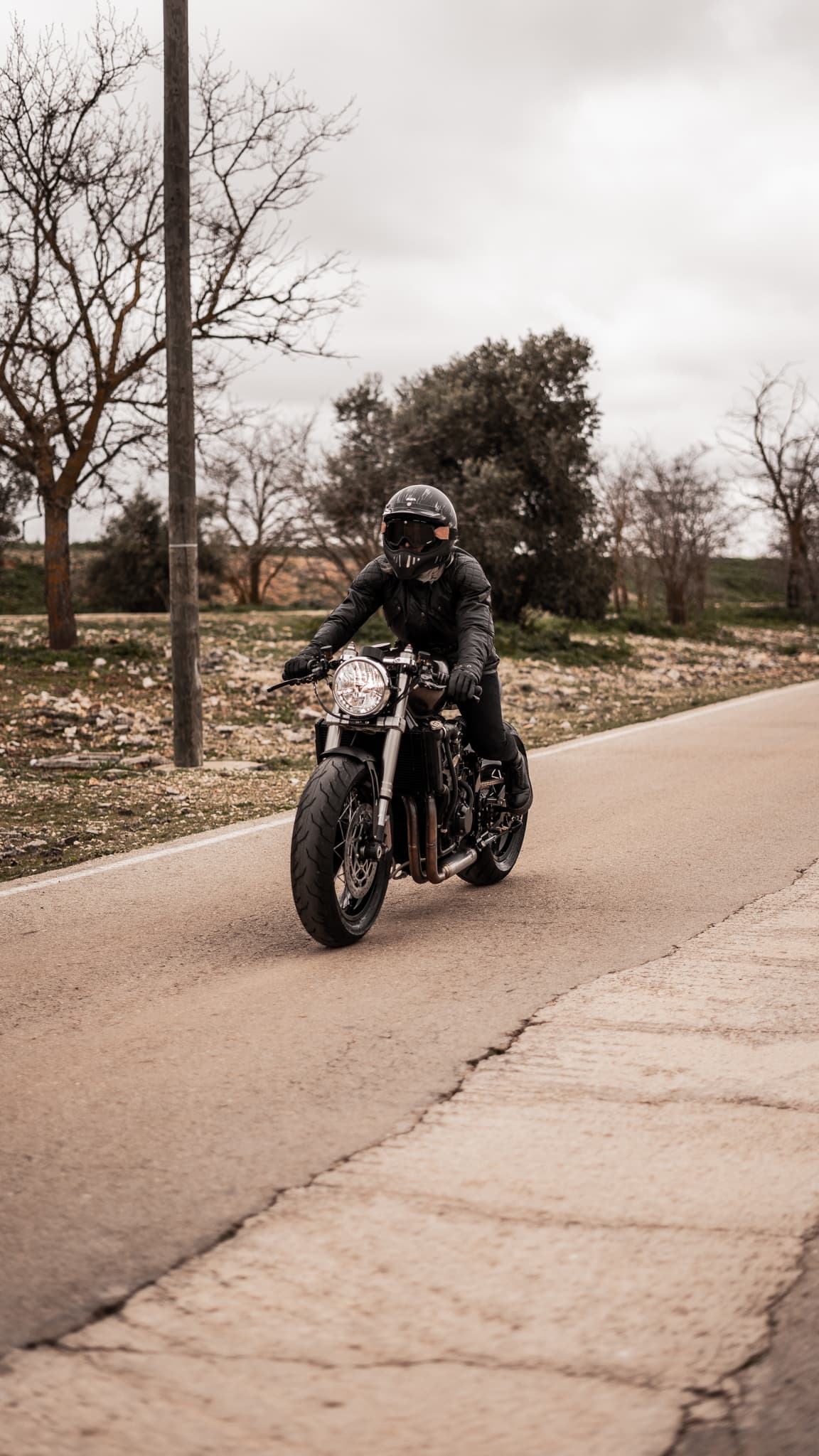 Triumph Bobber Toohard Dsc00524