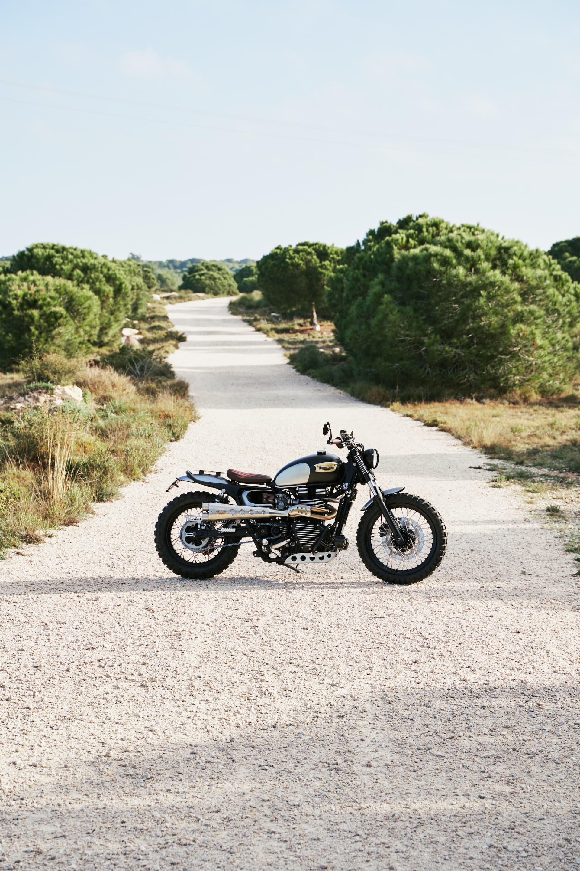 Triumph Scrambler Tamarit Dsc2291