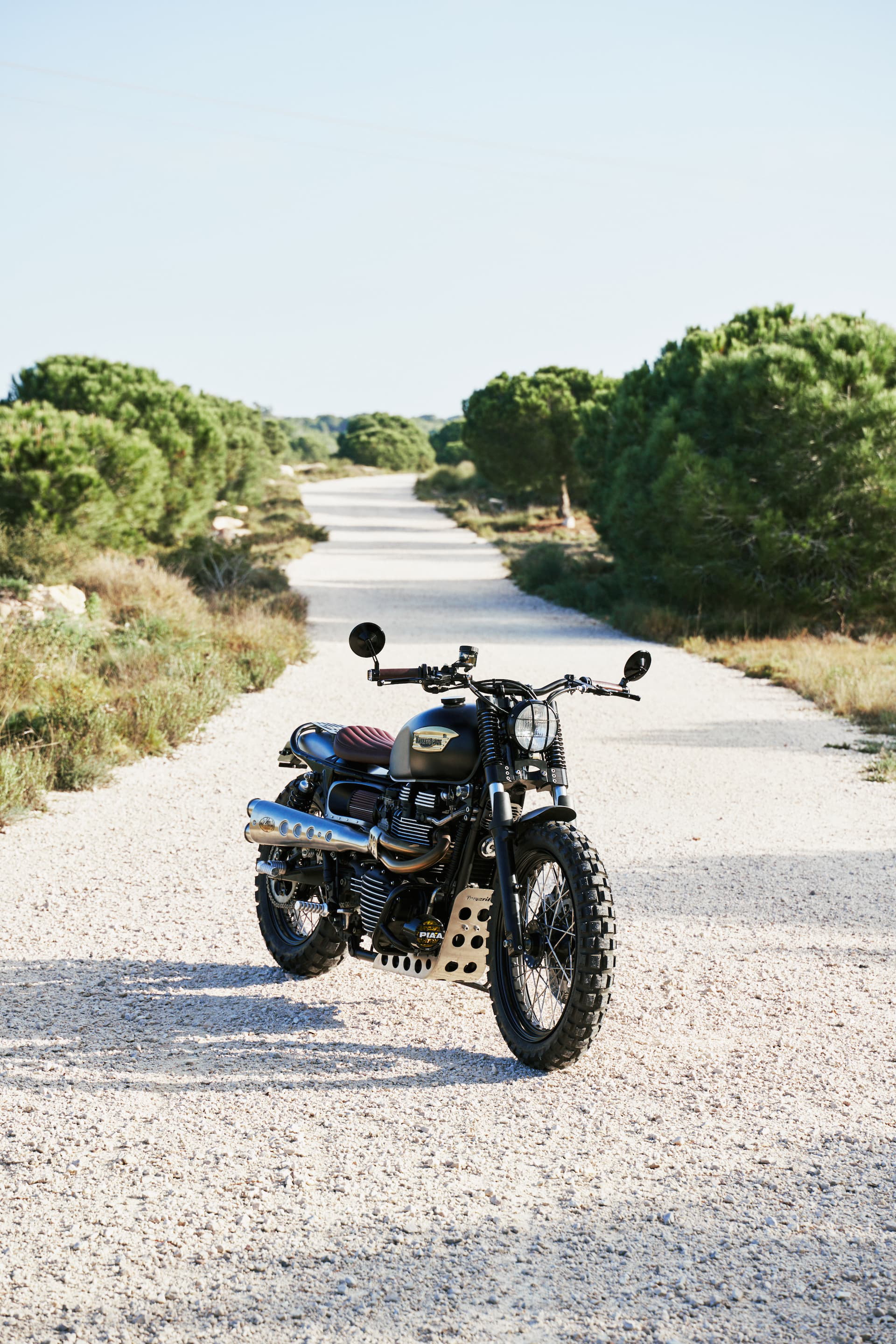 Triumph Scrambler Tamarit Dsc2317