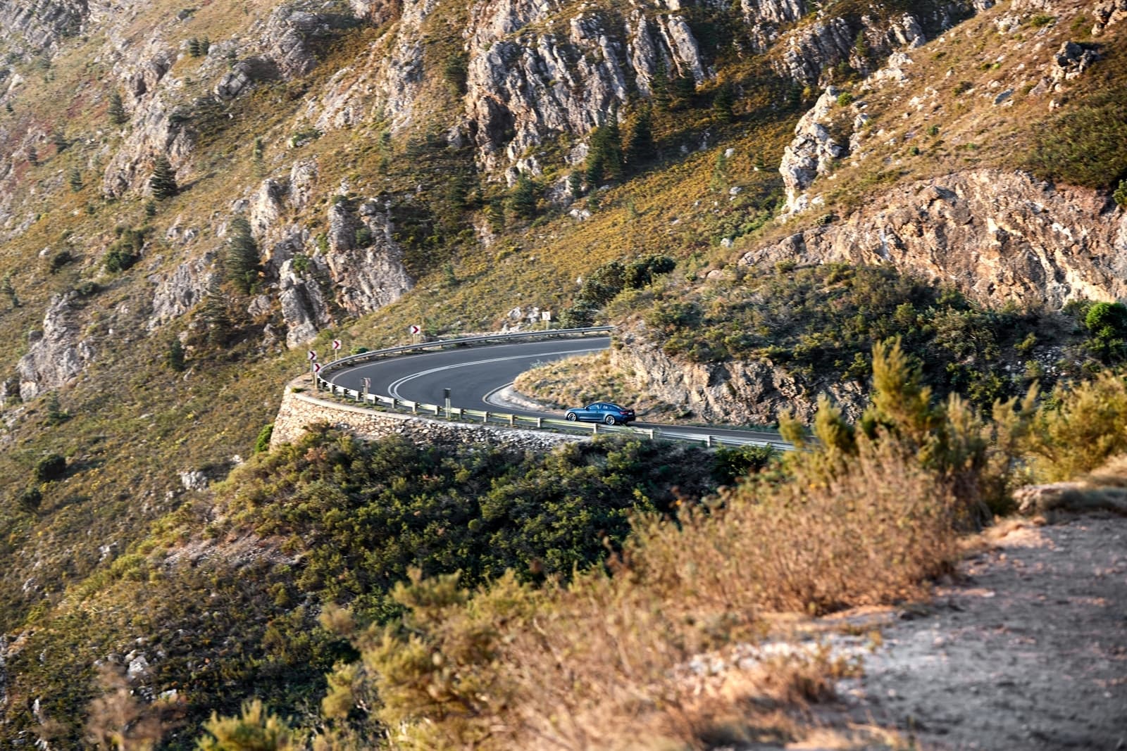 BMW Serie 4 mostrando su dinamismo en carreteras de montaña.