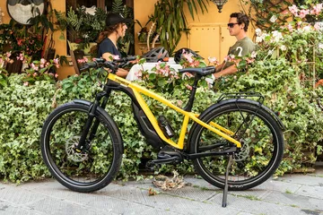 Ducati E Scrambler 2020 4