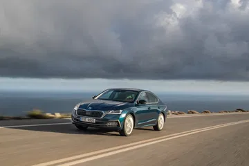Octavia 003