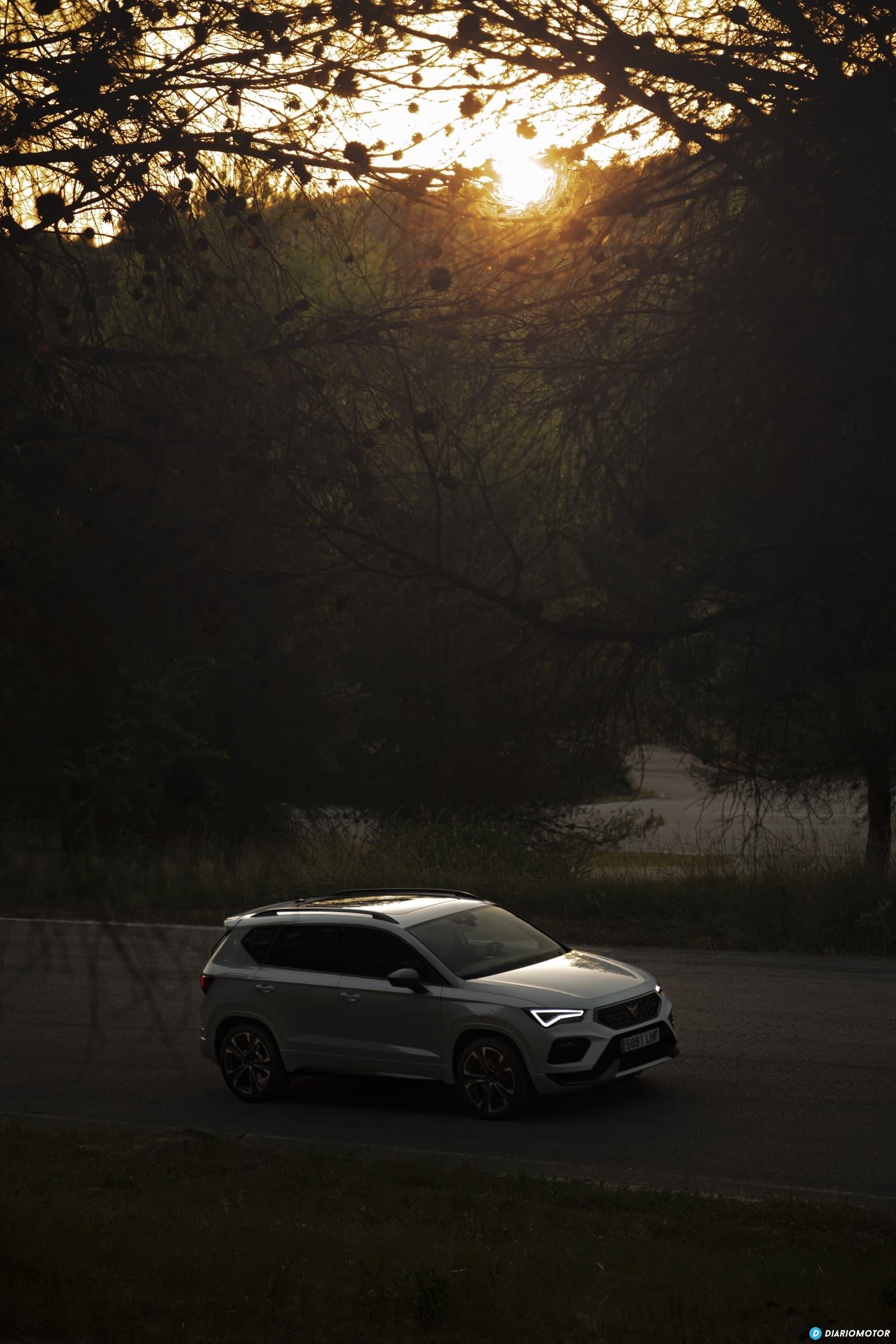 Vista superior del CUPRA Ateca destacando su techo en una toma nocturna.
