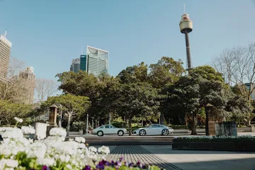 Porsche 911 Australia 55 Anos 20