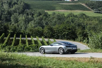 Vista lateral del Ferrari Roma en ruta campestre, armonía de diseño y paisaje.