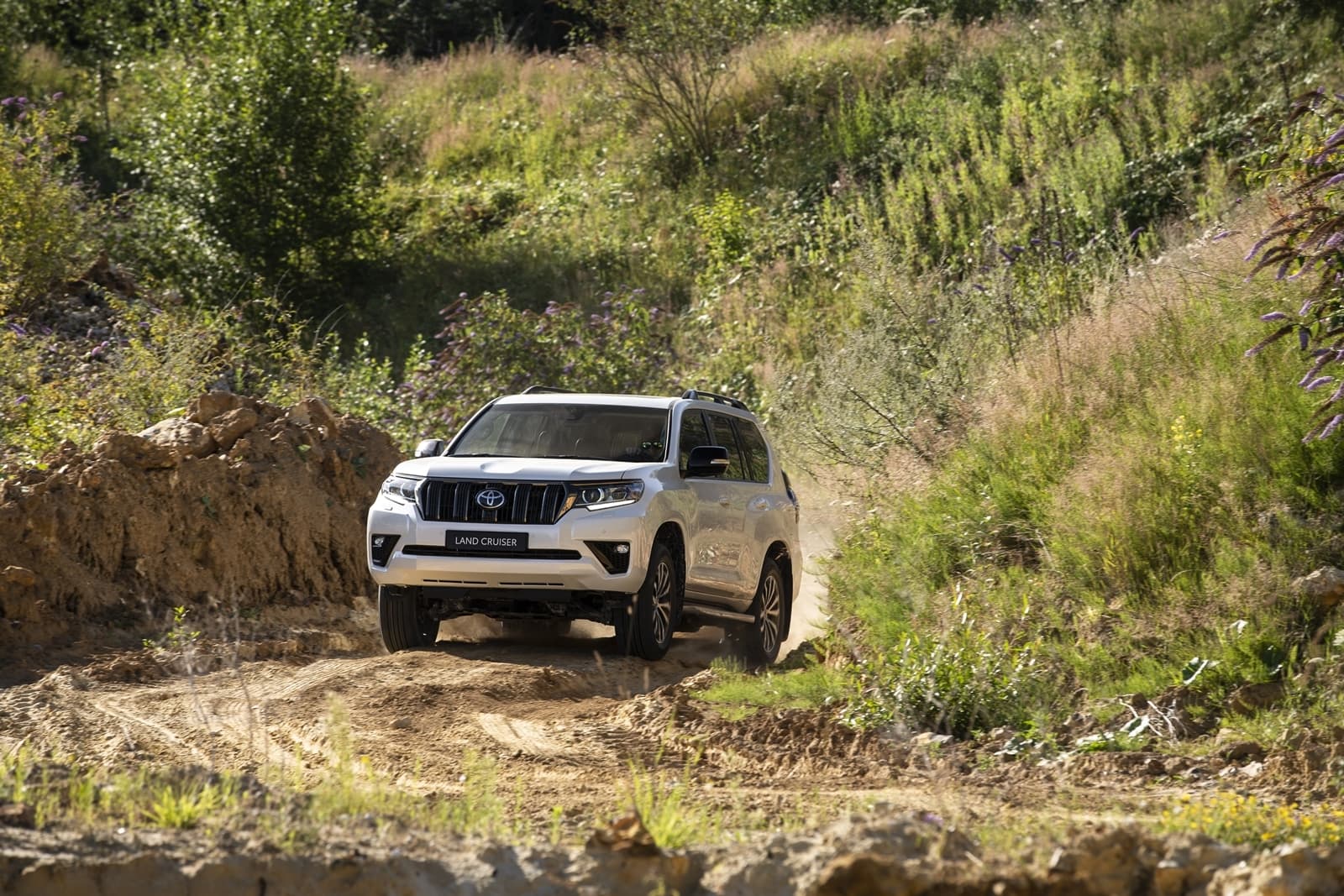 Toyota Land Cruiser 2021 0820 047