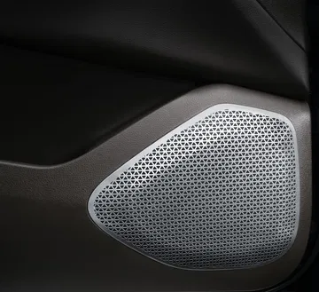 Vinfast President 14