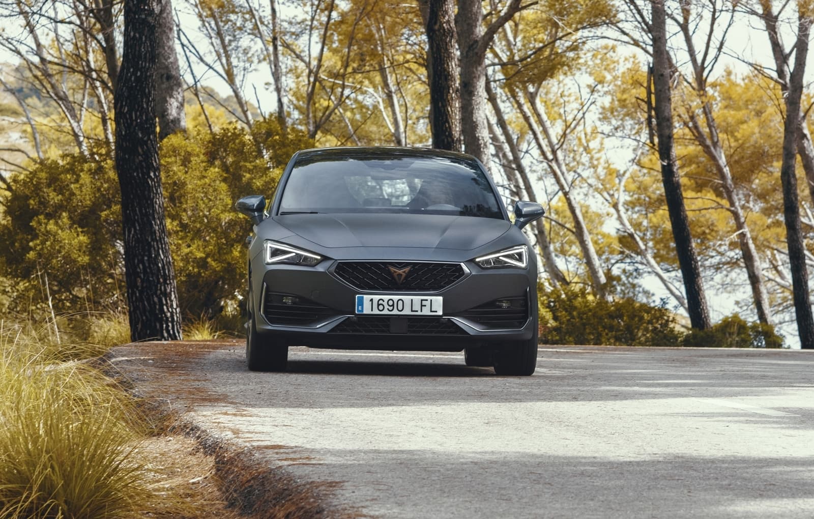Cupra Leon 2021 1020 031