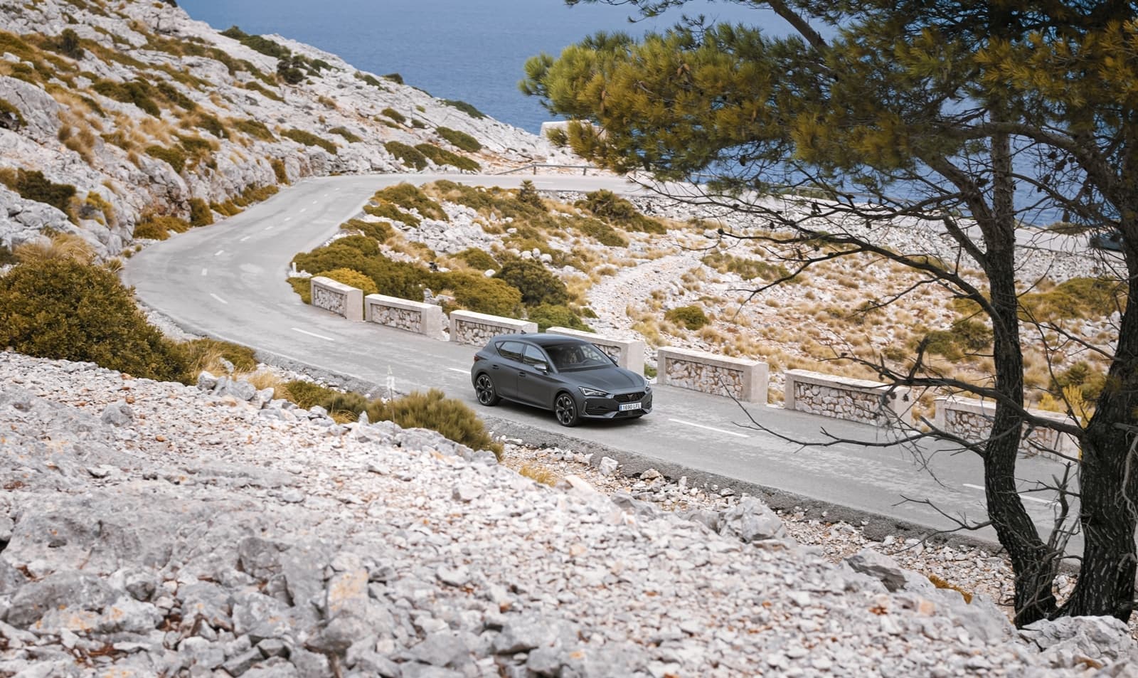 Cupra Leon 2021 1020 032