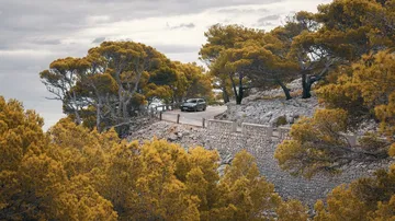 Una imagen que muestra un entorno natural, no relacionado con el CUPRA León.