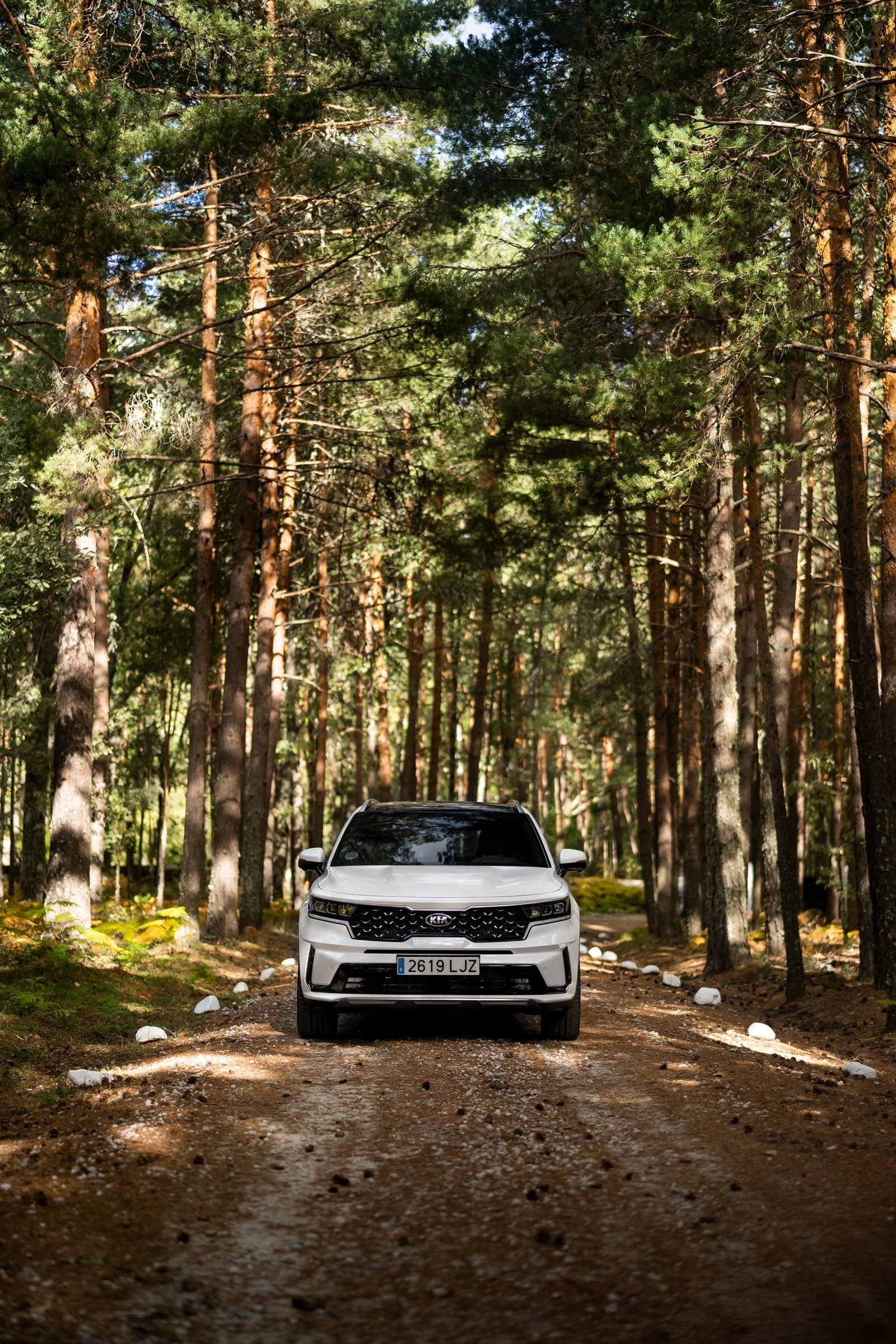 Kia Sorento 2021 1020 012