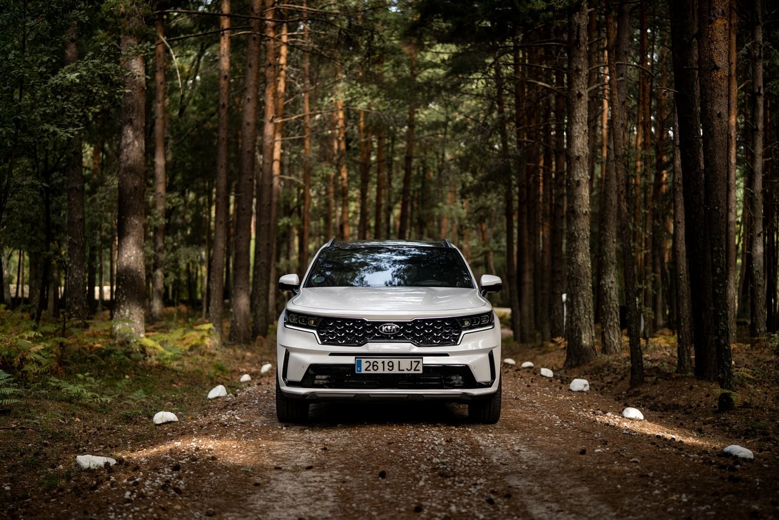 Kia Sorento 2021 1020 013