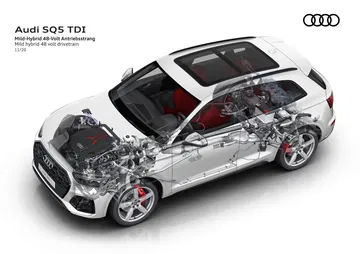 Audi Sq5 Tdi 2021 13