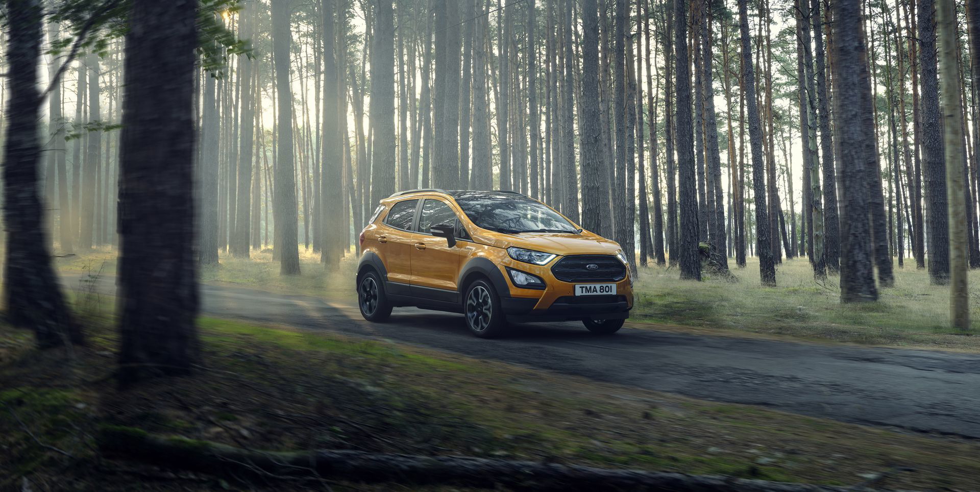 Ford Ecosport Active 2021 10