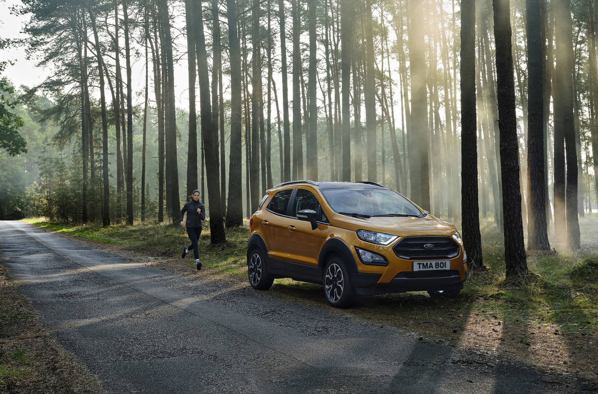 Ford Ecosport Active 2021 18
