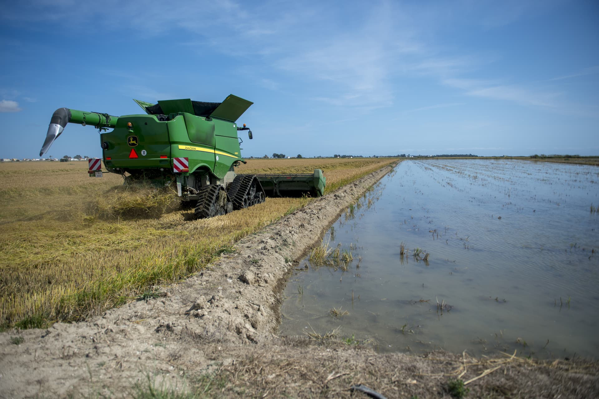 Seat Cascara Arroz Plastico 01