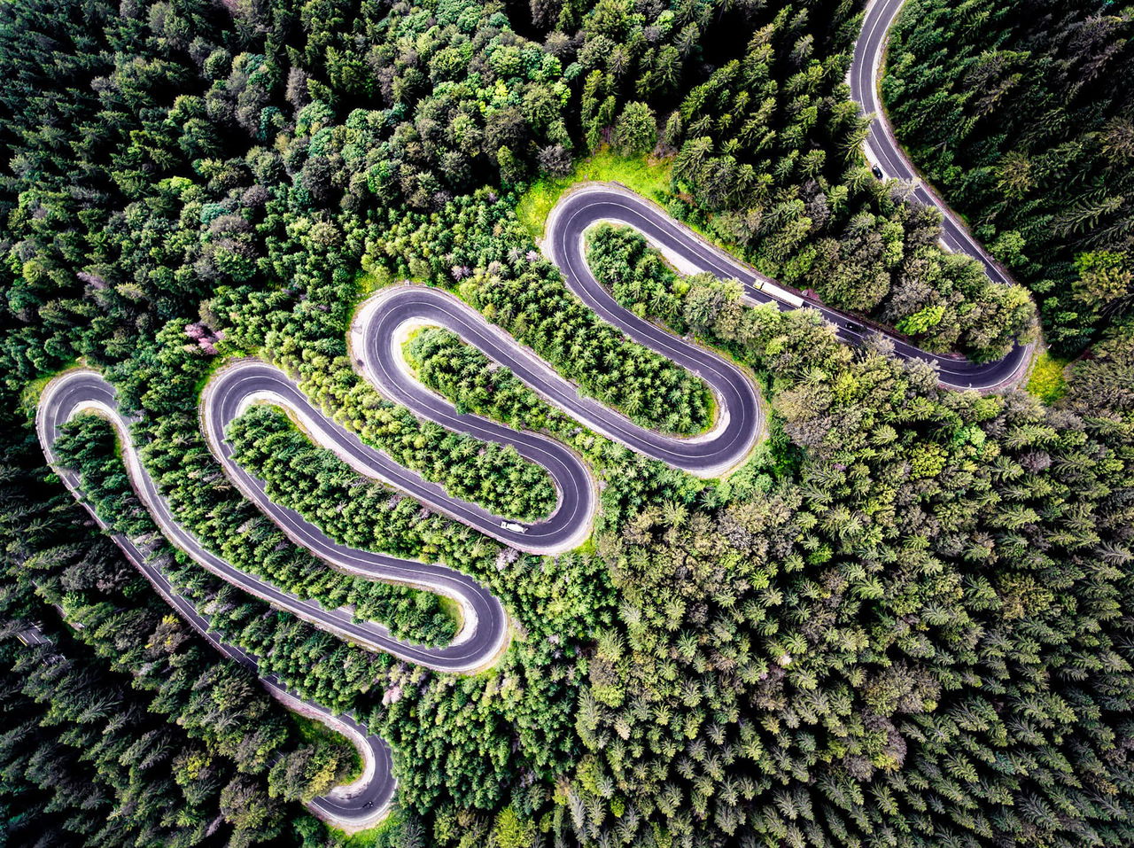 Carretera Curvas