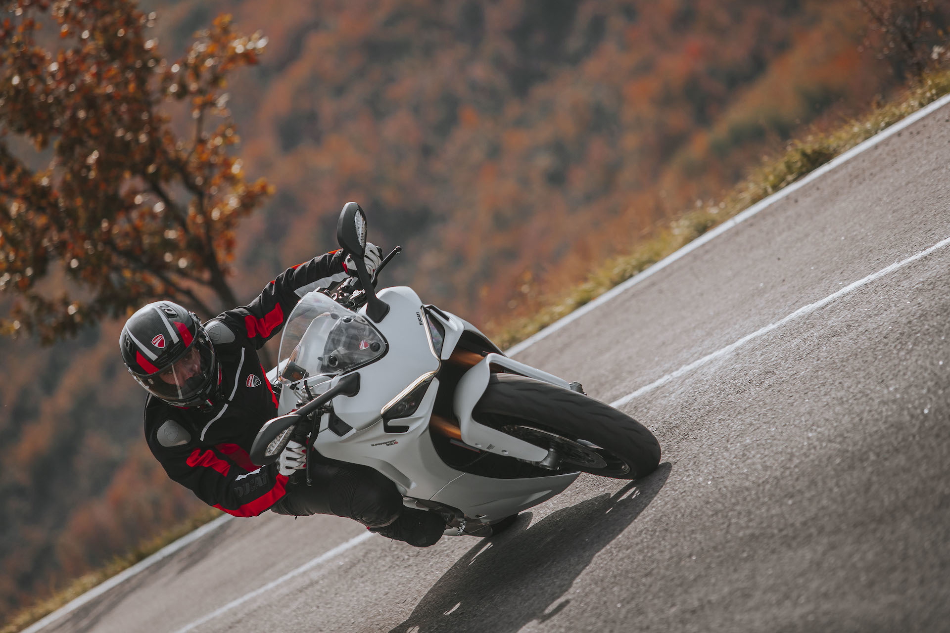 Moto Ducati Supersport 950 S61