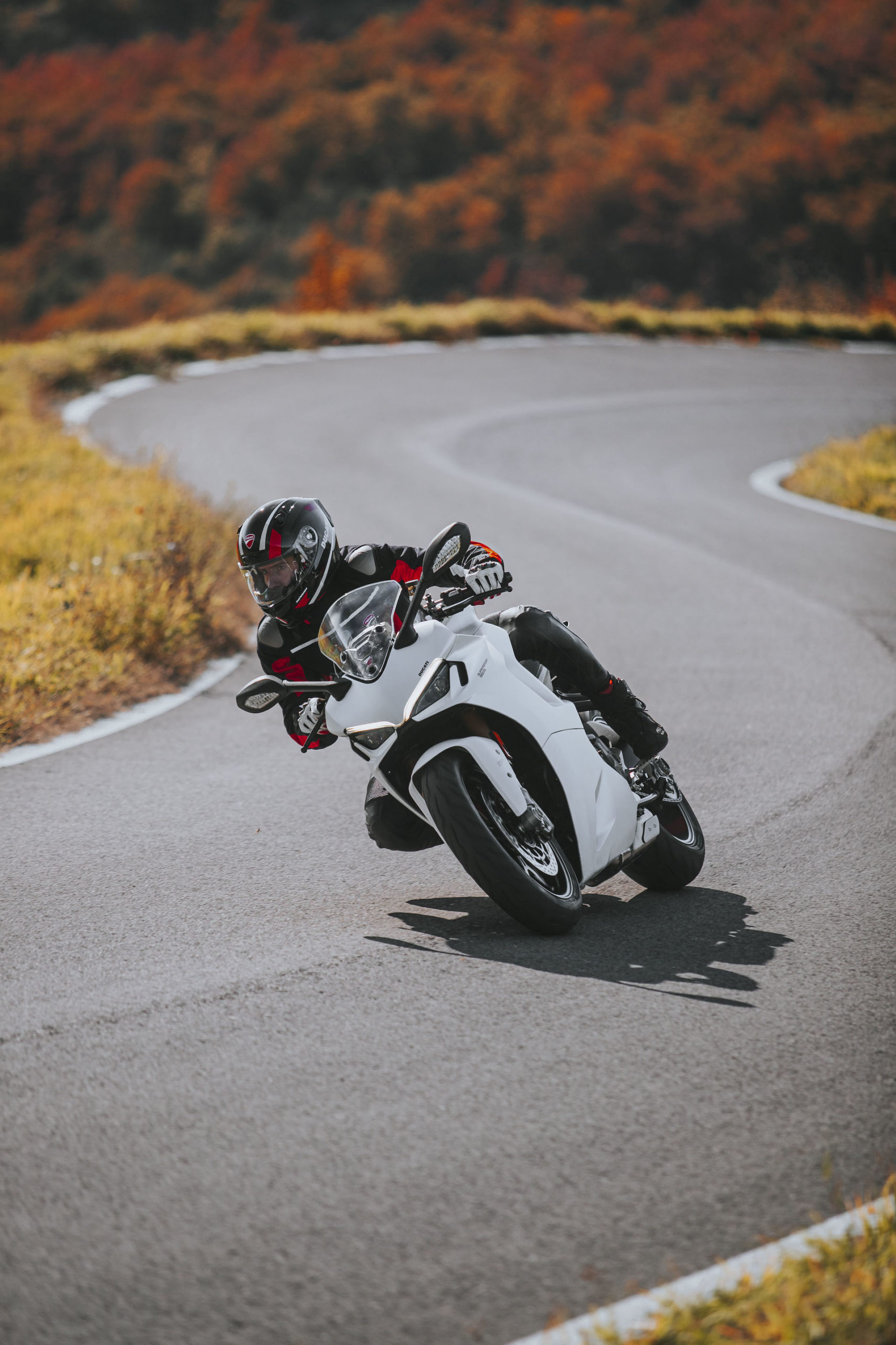 Moto Ducati Supersport 950 S63