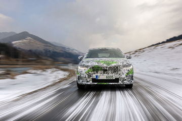 Skoda Fabia 2021 Camuflado 5