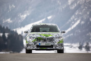 Skoda Fabia 2021 Camuflado 6