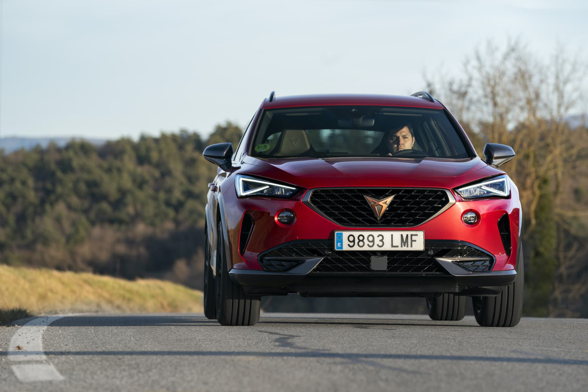 Cupra Formentor Tsi 017