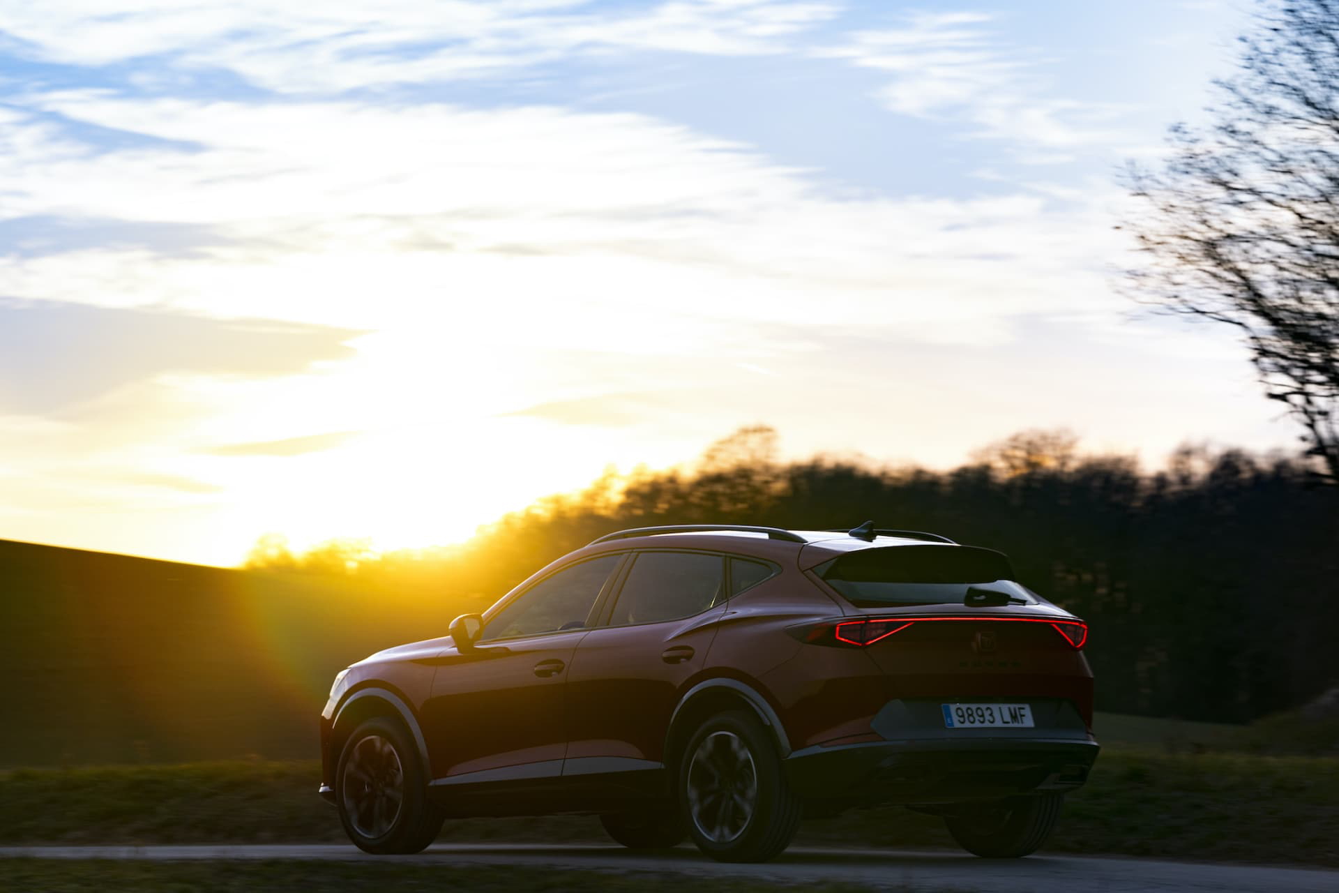 Cupra Formentor Tsi 018