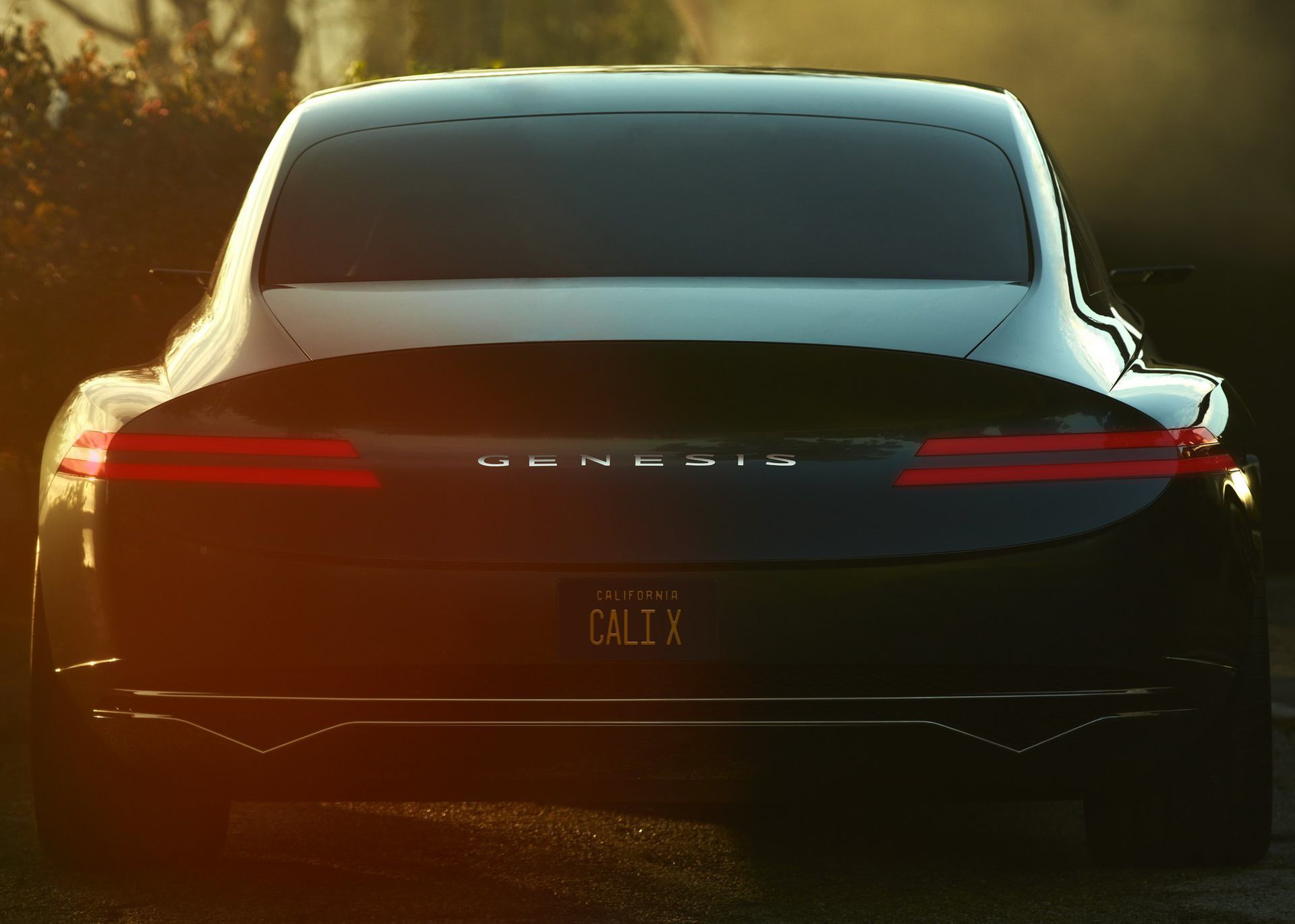 Genesis X Concept5