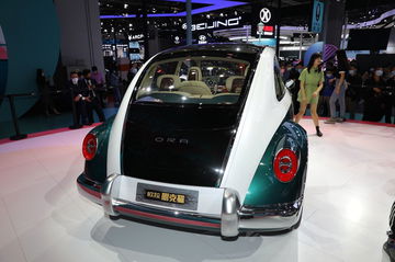Ora Punk Cat Copia Beetle 9