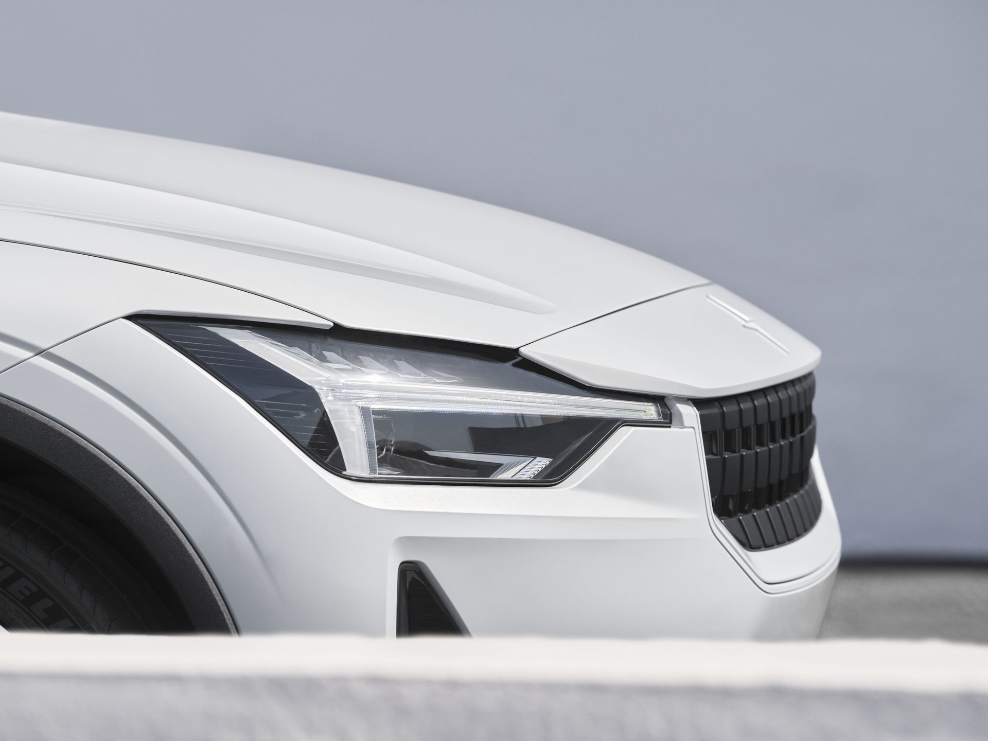 Polestar 2 Versiones Acceso 7