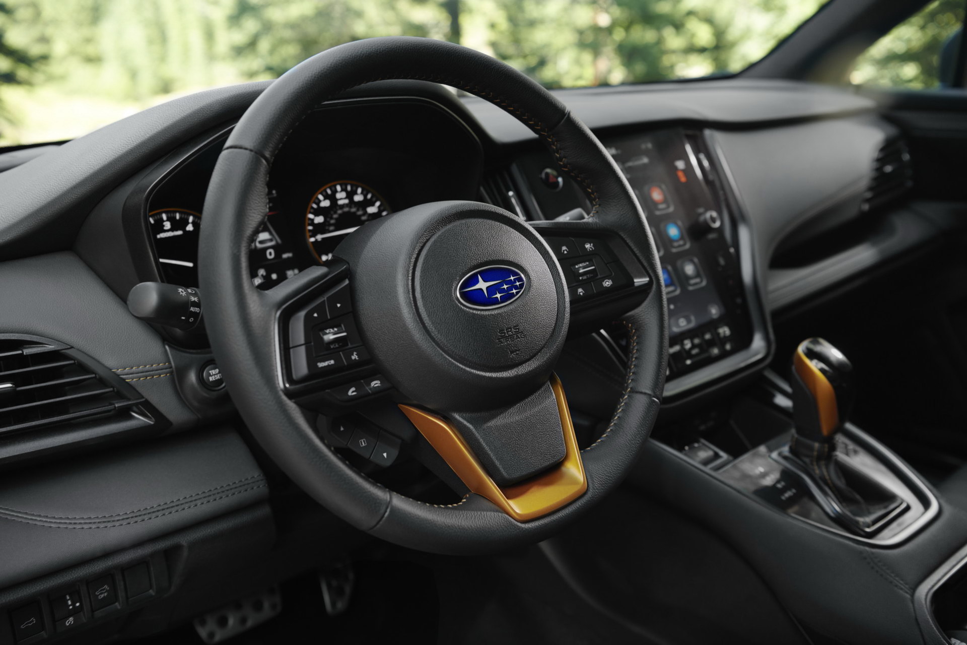 Subaru Outback Wilderness 19