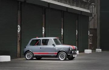 David Brown Mini Oselli 1