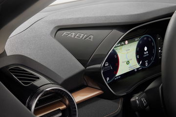 Skoda Fabia 2021 Cuadro 1
