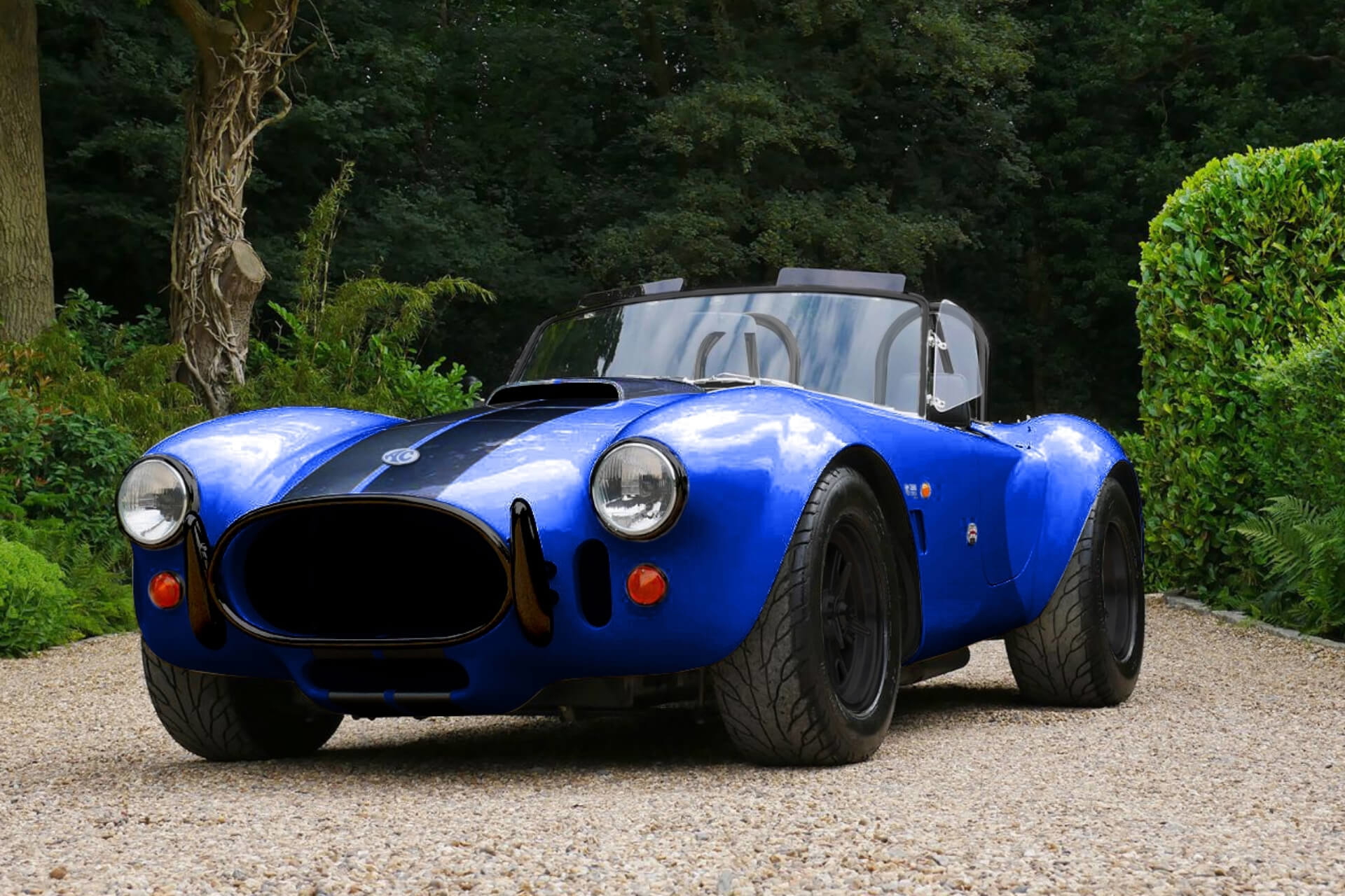 Ac Cobra Series 4 Electric 02