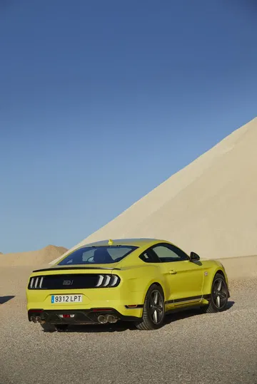 Ford Mustang Mach 1 0721 009