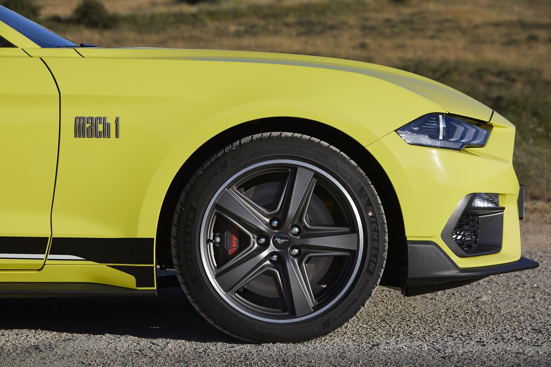 Ford Mustang Mach 1 0721 027
