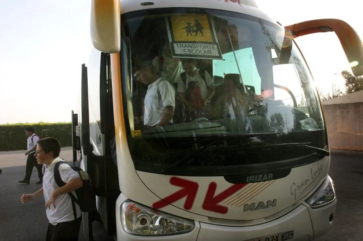 Cinturon Seguridad Autobus Transporte Escolar