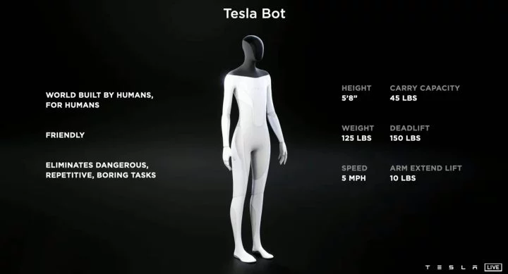 Tesla Bot 03