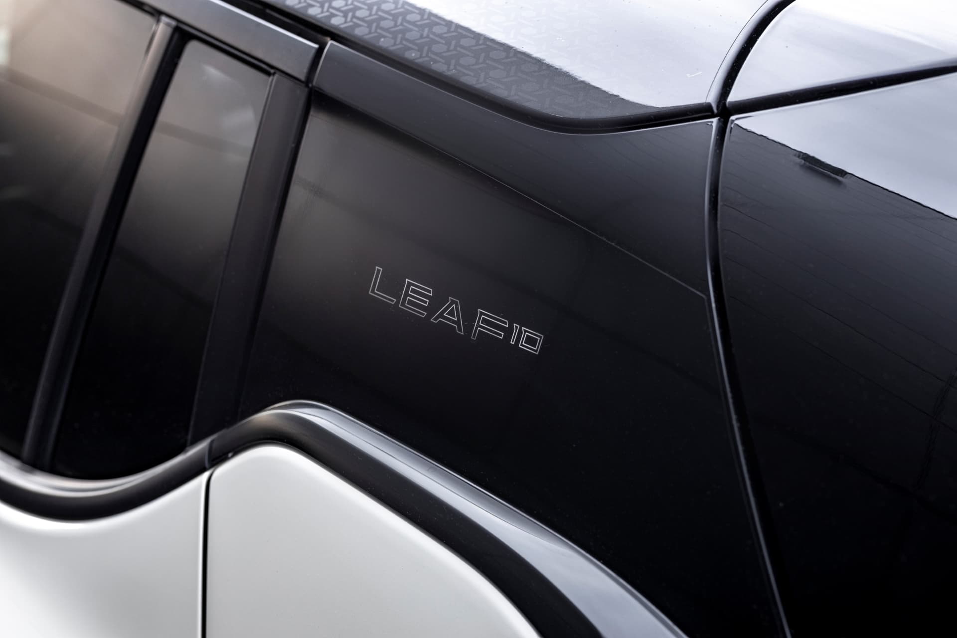Leaf10 Special Version