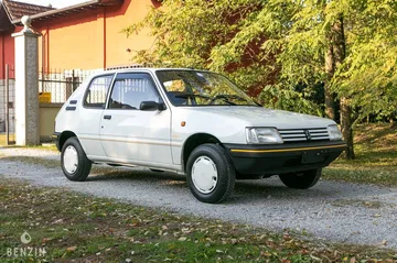 Peugeot 205 Subasta Stile 1