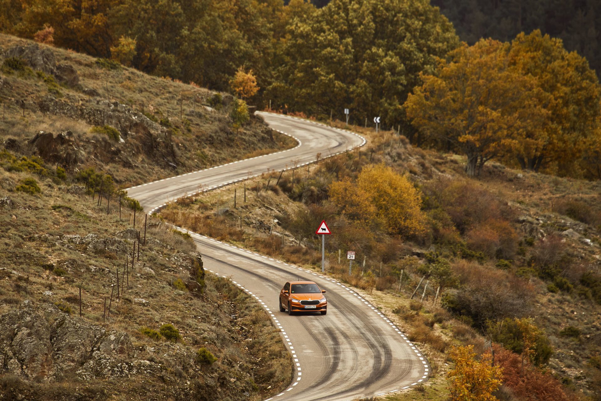 Prueba Skoda Fabia 2022 13