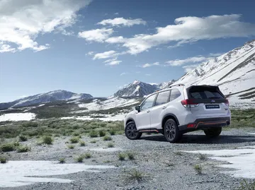 Subaru Forester 2022 08 Exterior 34 Trasera