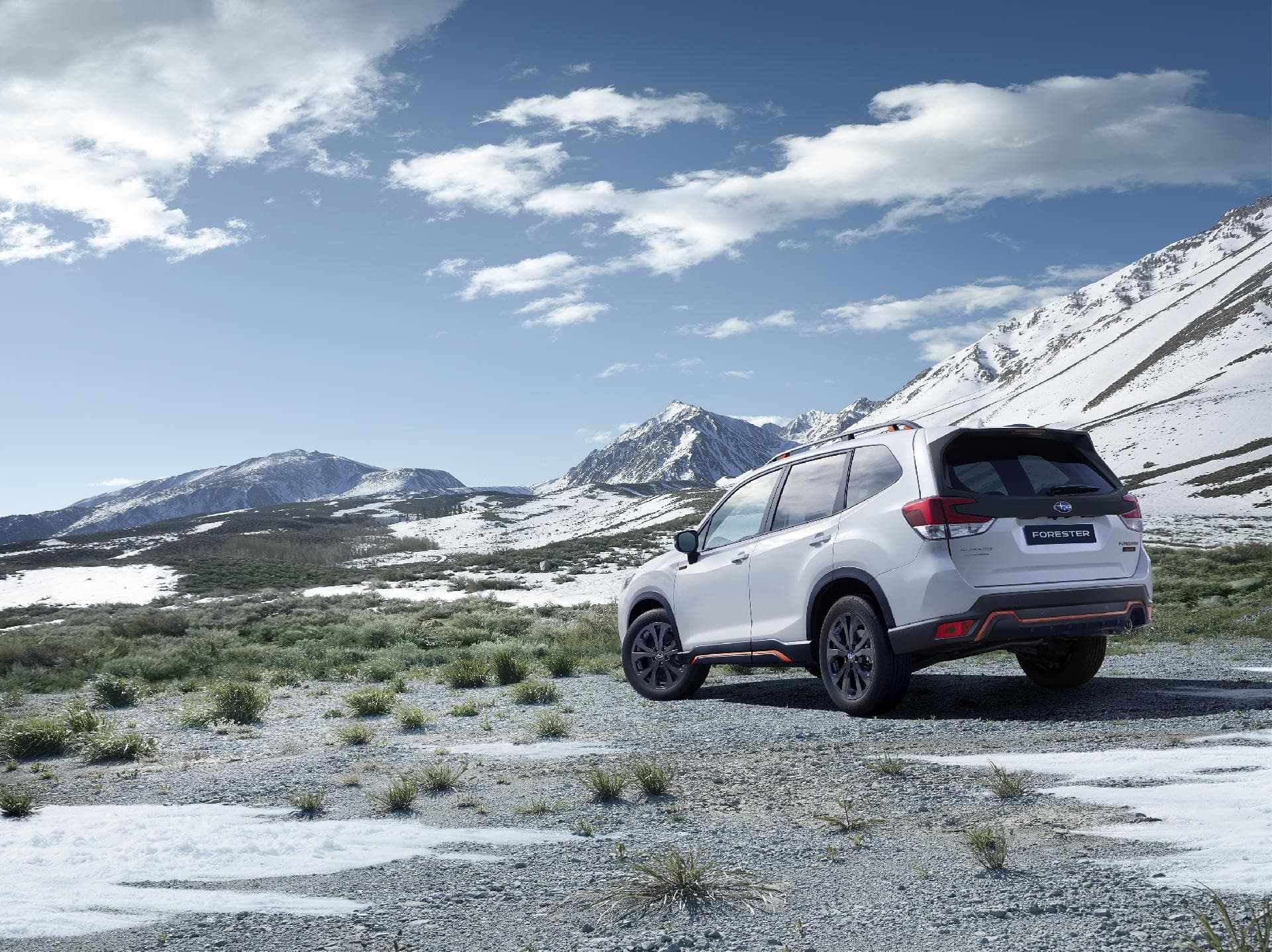 Subaru Forester 2022 08 Exterior 34 Trasera