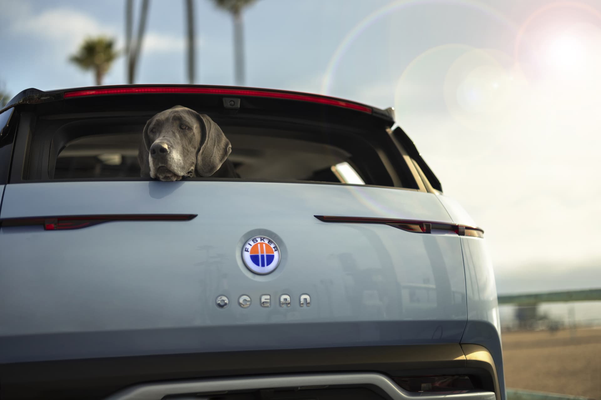 Fisker Ocean 2022 18 Exterior Porton Posterior