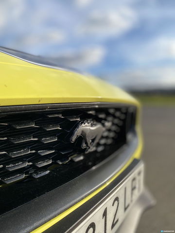 Ford Mustang Mach 1 Amarillo 00052