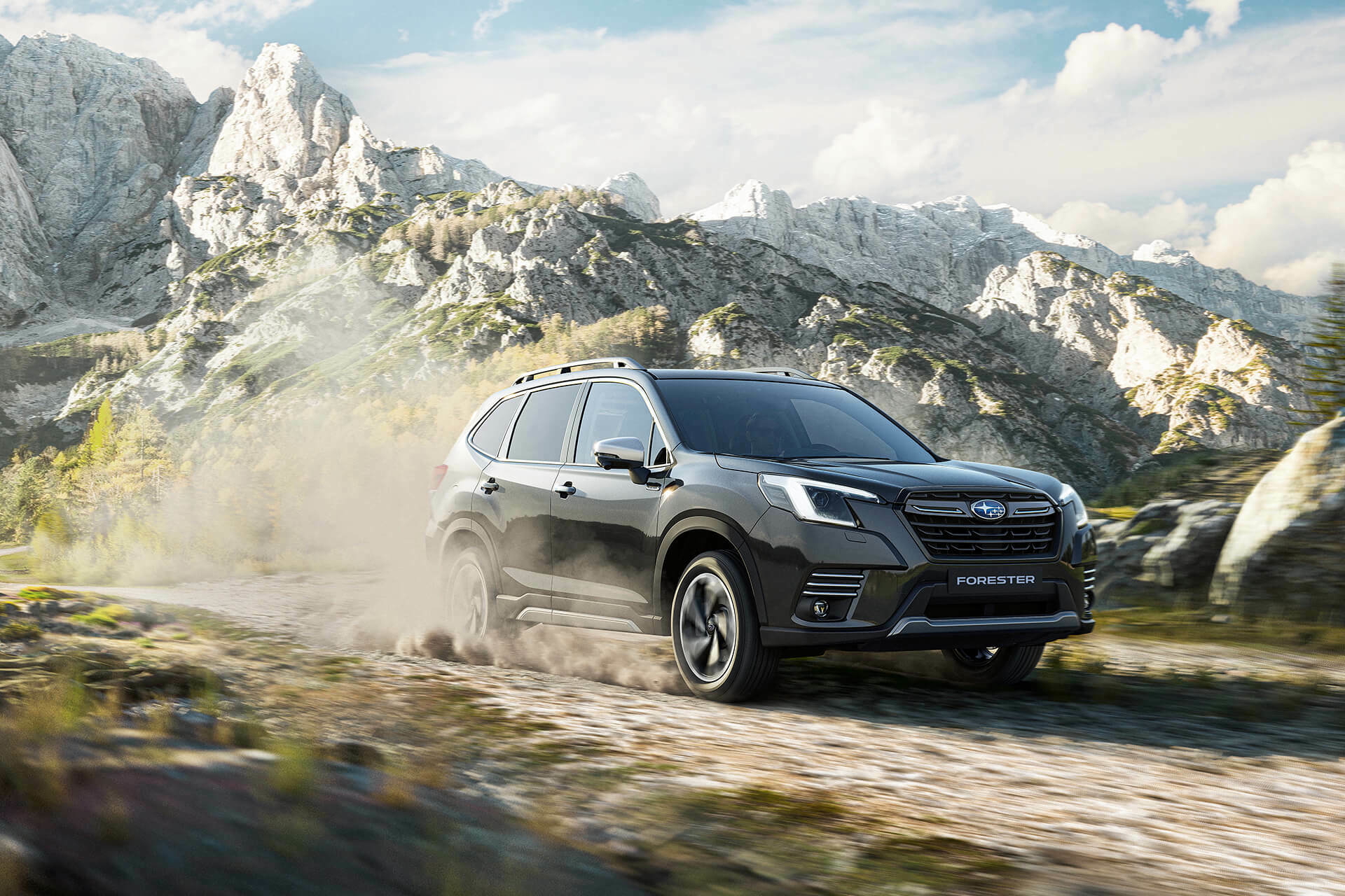 Subaru Forester E Boxer 2022 No Resizing 10