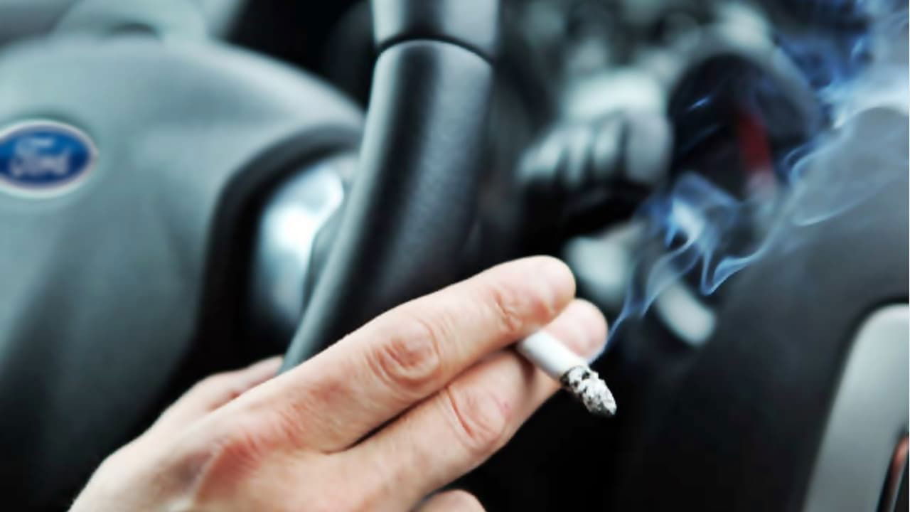 Combate Los Malos Olores Del Coche