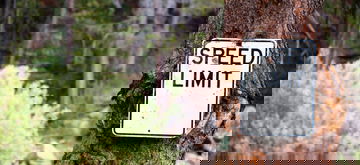 Limites Velocidad California 01