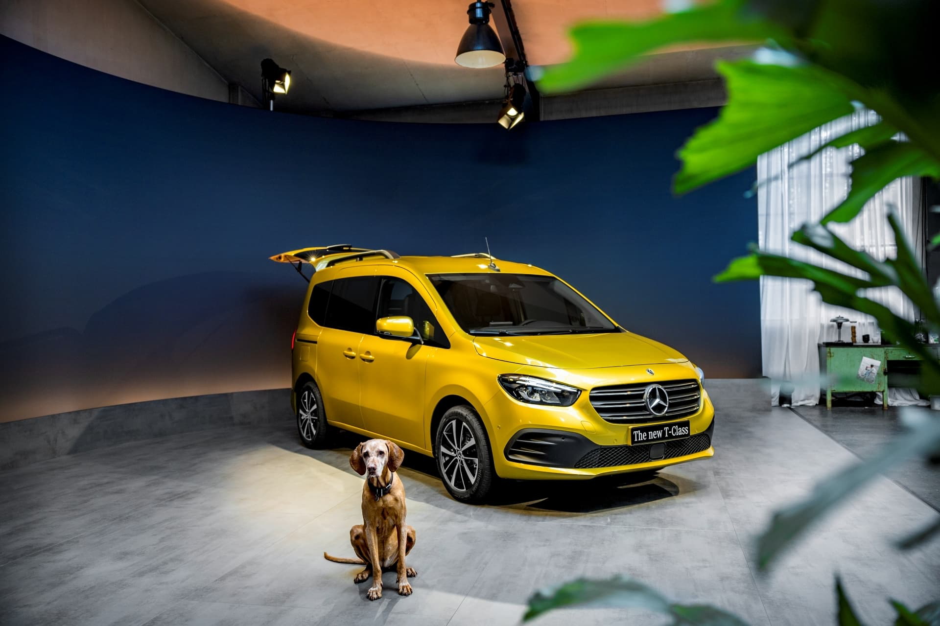 Die Neue Mercedes Benz T Klasse // The New Mercedes Benz T Class
